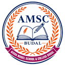 Aisha Model School & College Budal